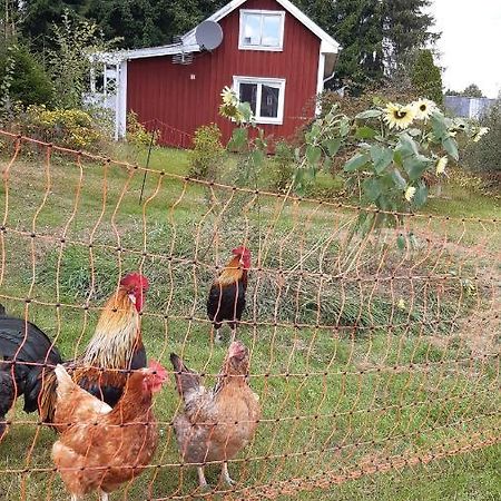 Stuga Asnagard Torsby Buitenkant foto