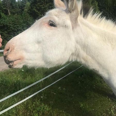 Stuga Asnagard Torsby Buitenkant foto