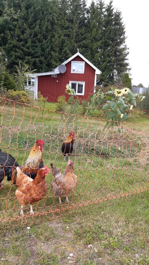 Stuga Asnagard Torsby Buitenkant foto