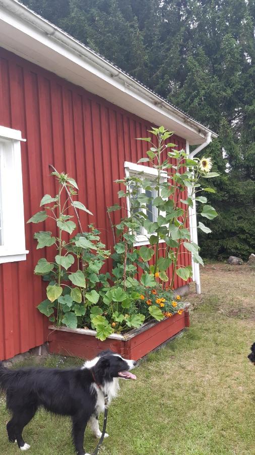 Stuga Asnagard Torsby Buitenkant foto
